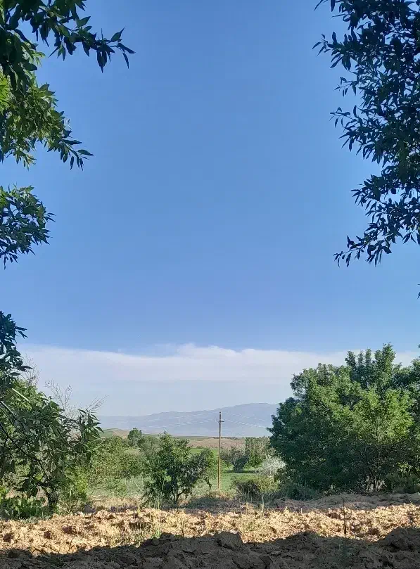 اشترینان|فروش زمین و ملک کلنگی|زند, |دیوار