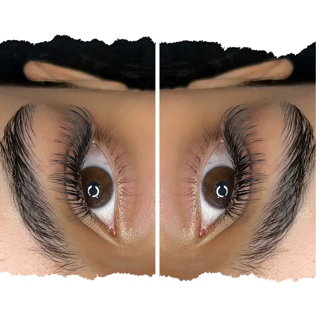 اکستنشن تخصصی مژه و لیفت مژه و ابرو|خدمات آرایشگری و زیبایی|شیراز, شهرک والفجر|دیوار