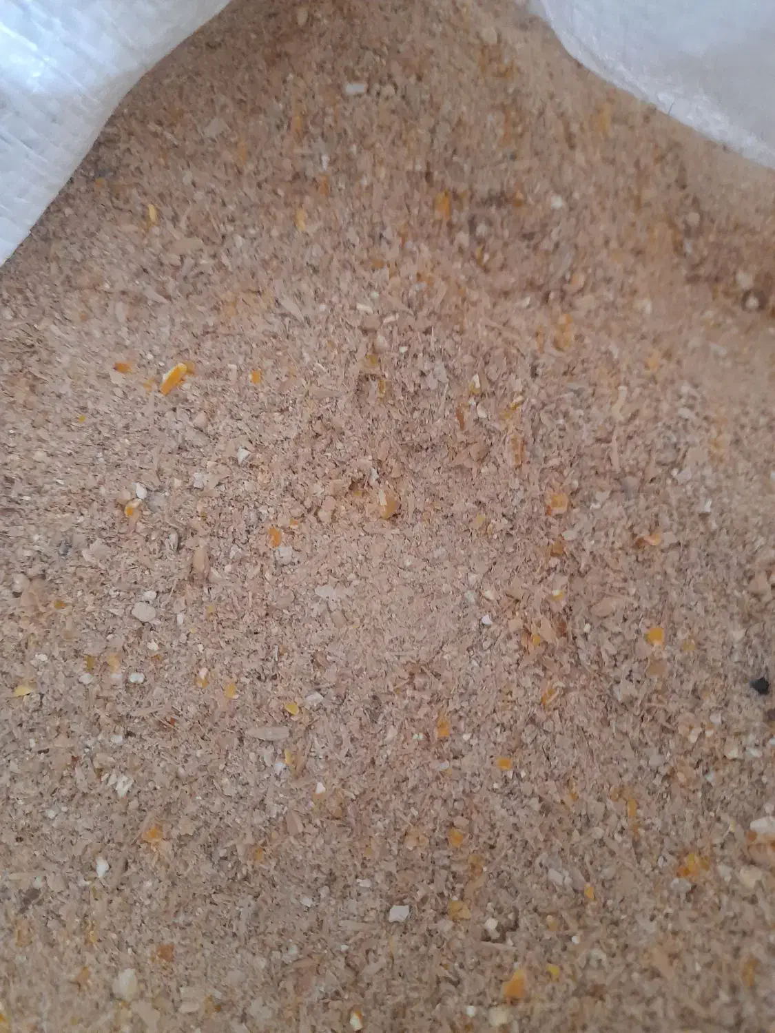 دان زرت|لوازم جانبی حیوانات|کرمانشاه, |دیوار