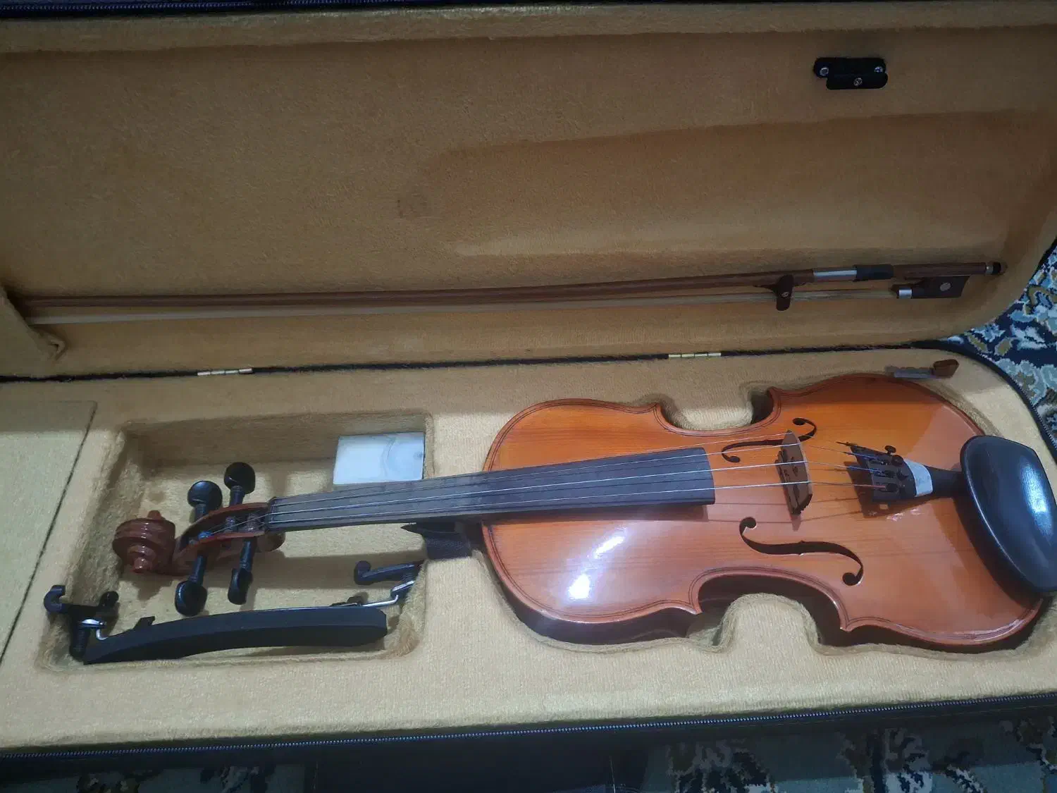 فروش ویولن مبتدی|ویولن|نجفآباد, سعدی|دیوار