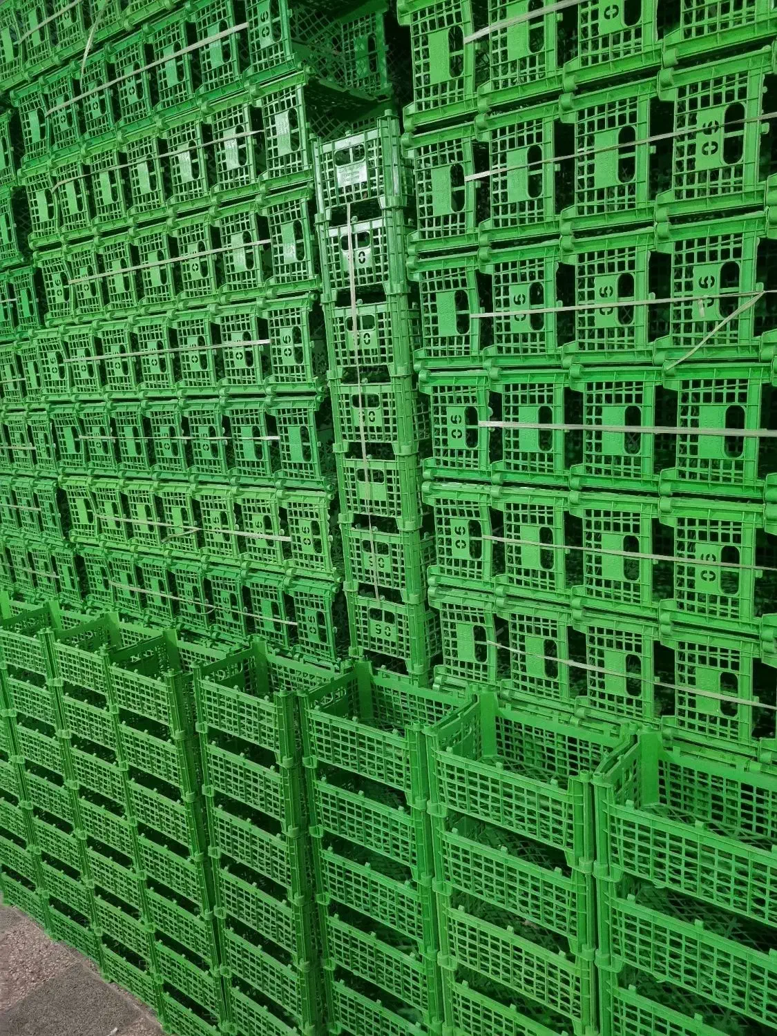 سبد|ظروف نگهدارنده، پلاستیکی، یکبارمصرف|بهار, |دیوار