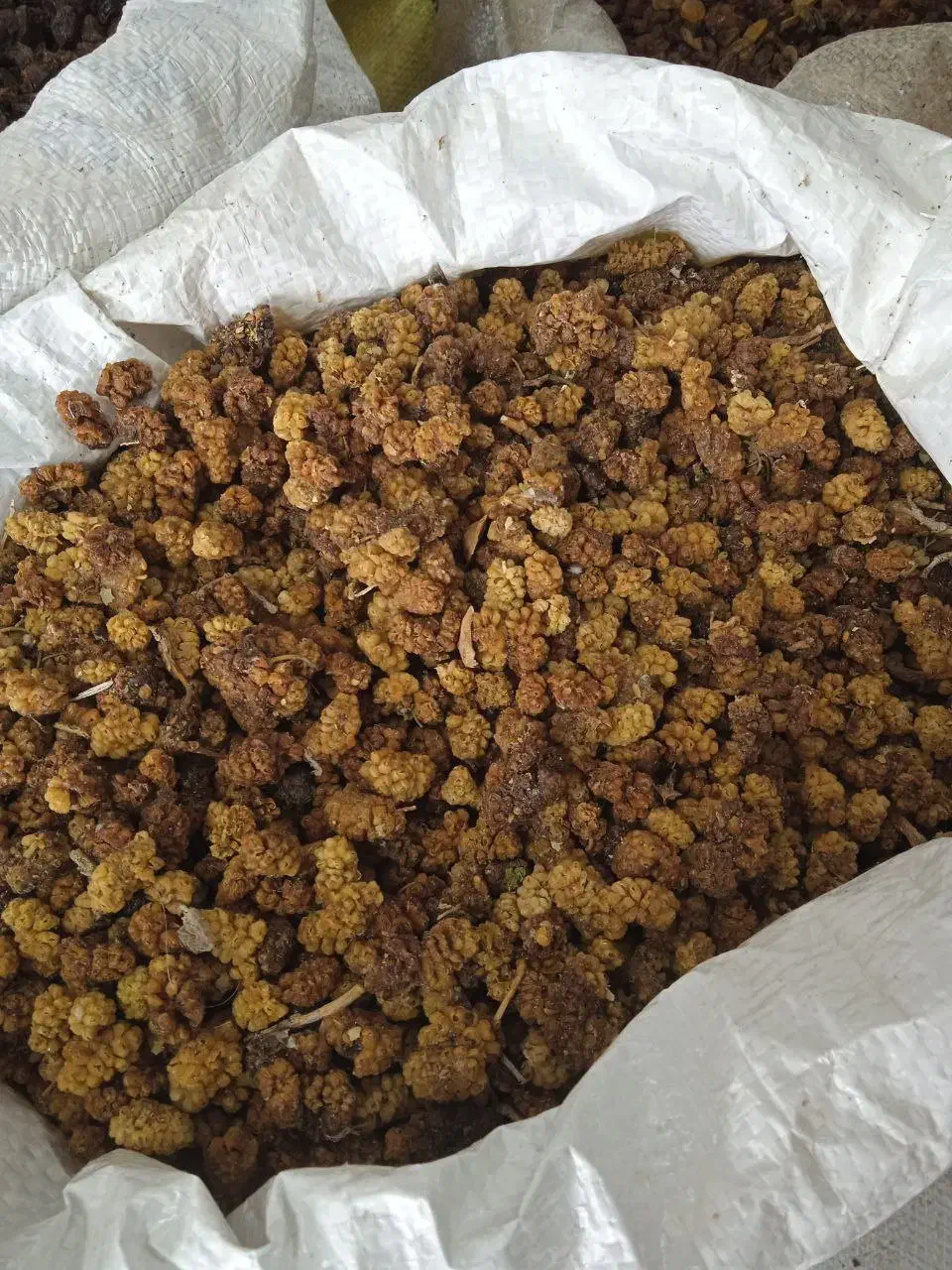 کشمش آفتابی، ضایعات خرمای شیرازی، ضایعات توت خشک|خوردنی و آشامیدنی|بناب, |دیوار