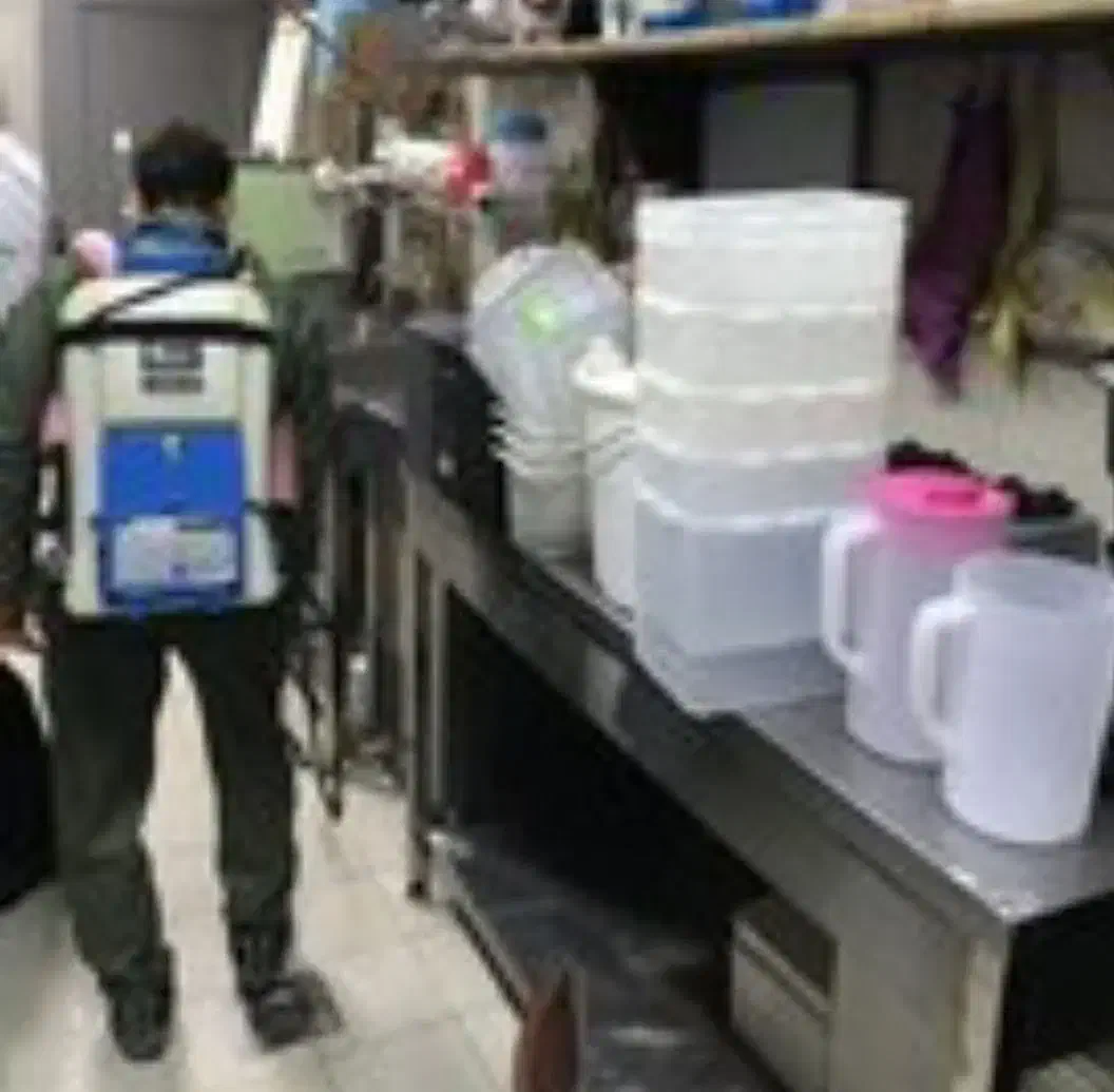 سمپاشی سوسک وسایل کنه سم پاشی موش عقرب با ضمانت|خدمات نظافت|مشهد, توس (بلوار توس)|دیوار