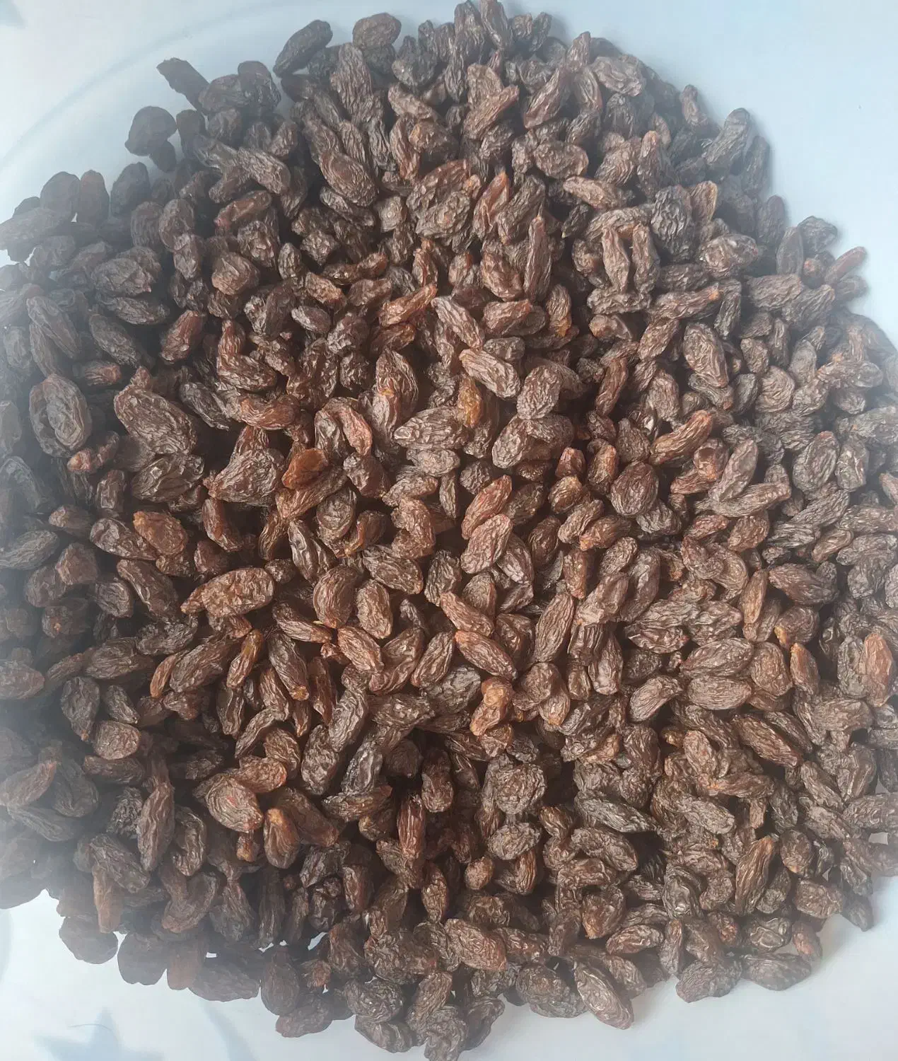 کشمش ملکان|خوردنی و آشامیدنی|تبریز, |دیوار