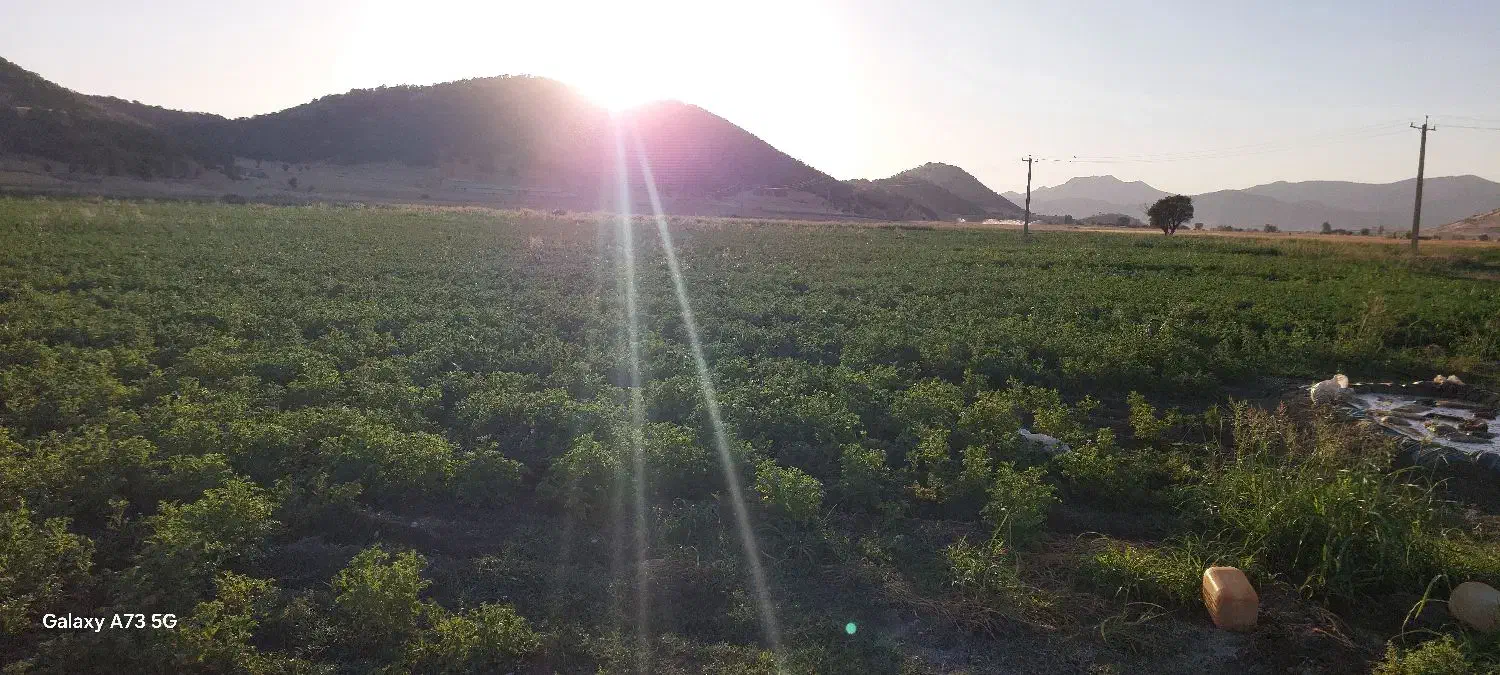 زمین جهت اجاره|اجارهٔ مغازه و غرفه|خاو و میرآباد, |دیوار