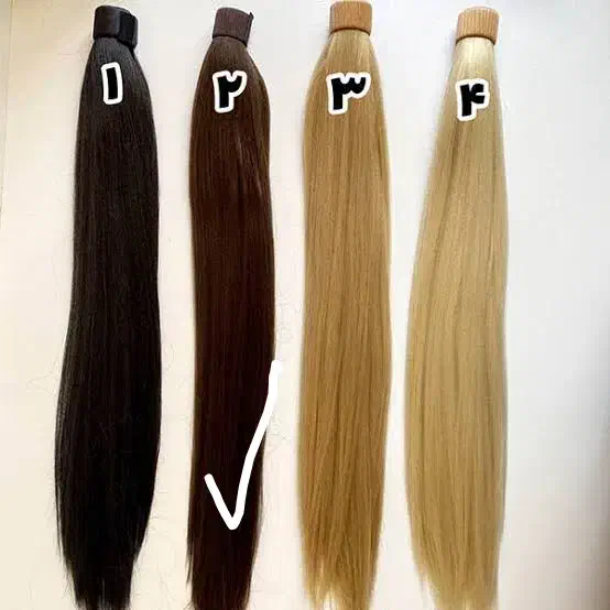 مجله (موی دم اسبی )|مجلات|بیرجند, |دیوار