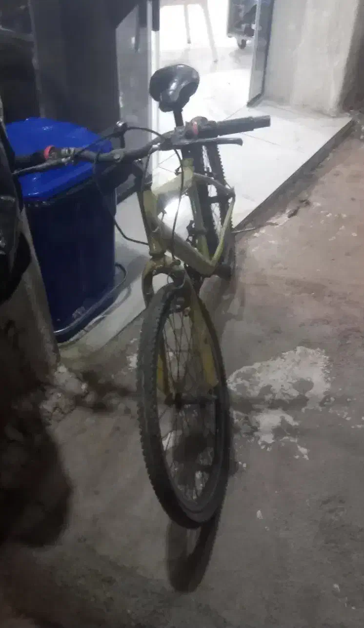 دوچرخه ۲۴|دوچرخه، اسکیت، اسکوتر|پاتاوه, |دیوار