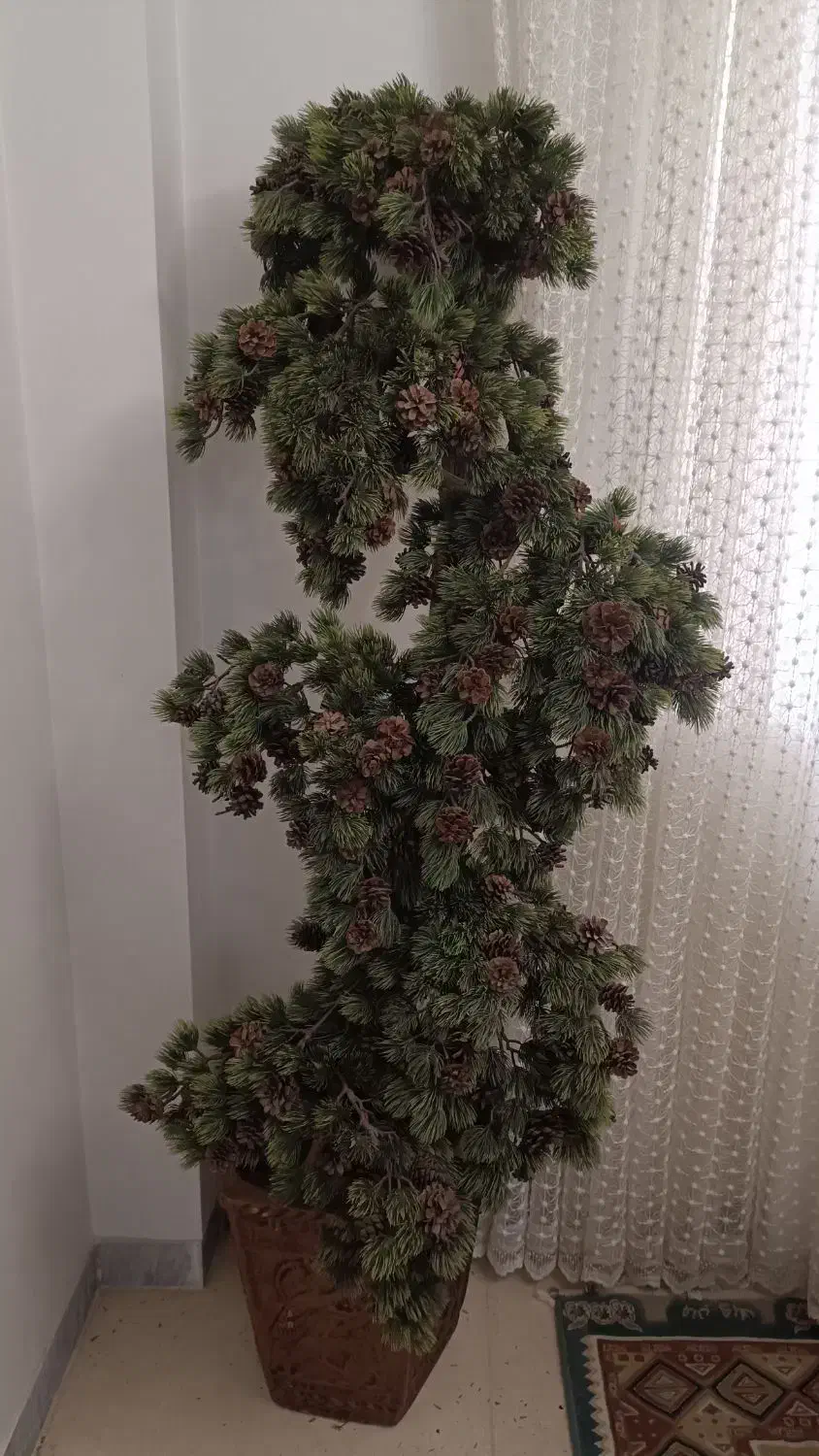 درختچه کاج تزئینی|گل مصنوعی|ساری, |دیوار