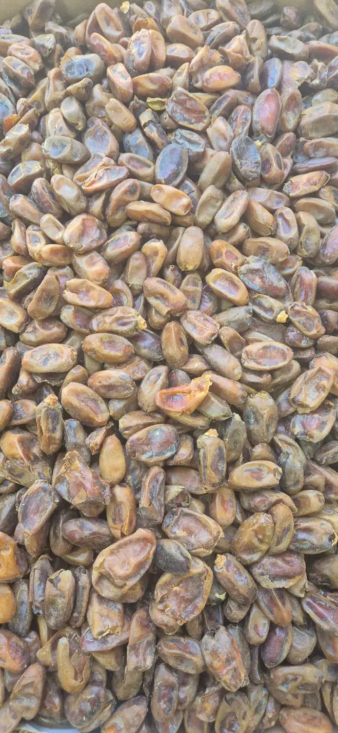 خرمای ضایعتی|خوردنی و آشامیدنی|فولادشهر, A4|دیوار