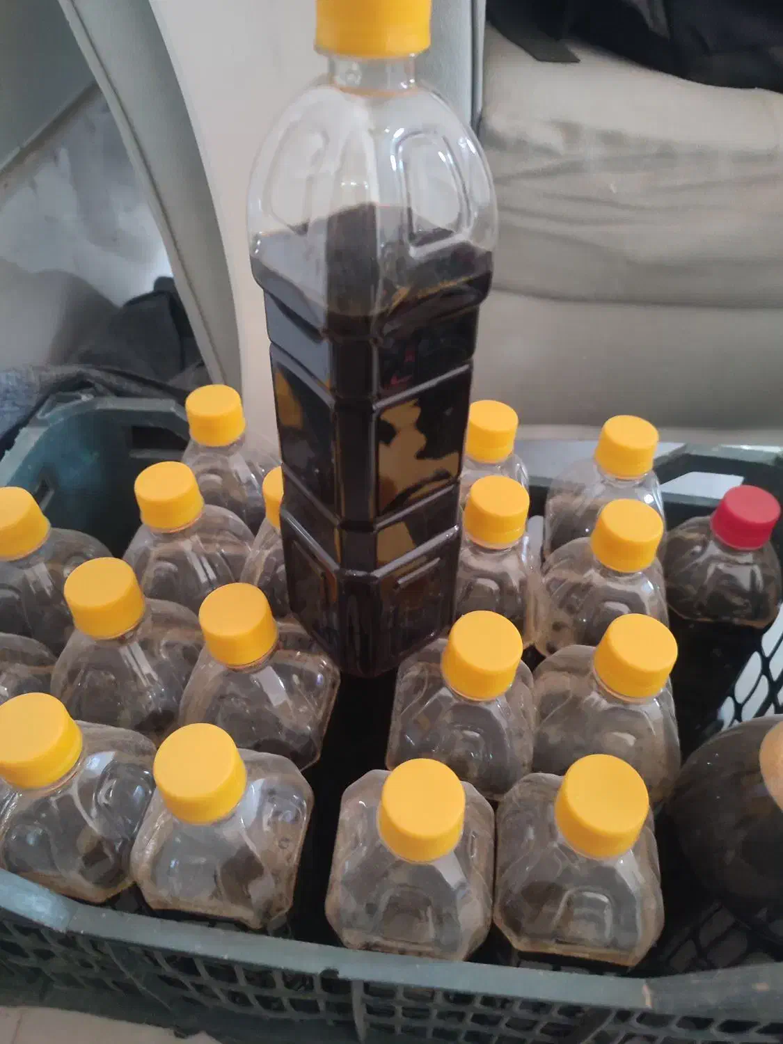 شیره وکشمش|خوردنی و آشامیدنی|دشتابی, |دیوار