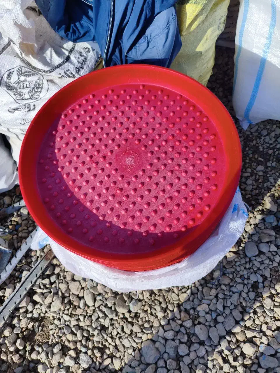 سینی یه روزه پرنده مرغ و دونخوری بوقلمون|عمدهفروشی|گرمسار, |دیوار