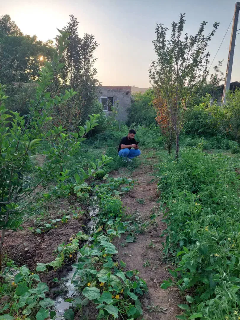 ۲۰۰متر زمین باغی مسکونی|فروش زمین و ملک کلنگی|مینودشت, |دیوار