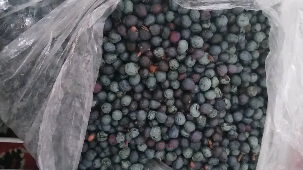 کلخنگ با خرده برنج فجر تازه و تمیز|خوردنی و آشامیدنی|یاسوج, |دیوار