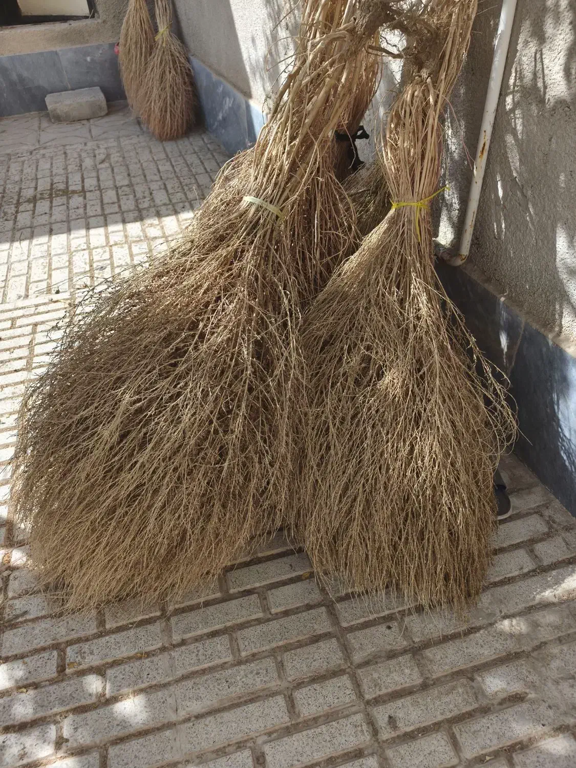 جارو کشمونی|لوازم نظافت|بیرجند, |دیوار