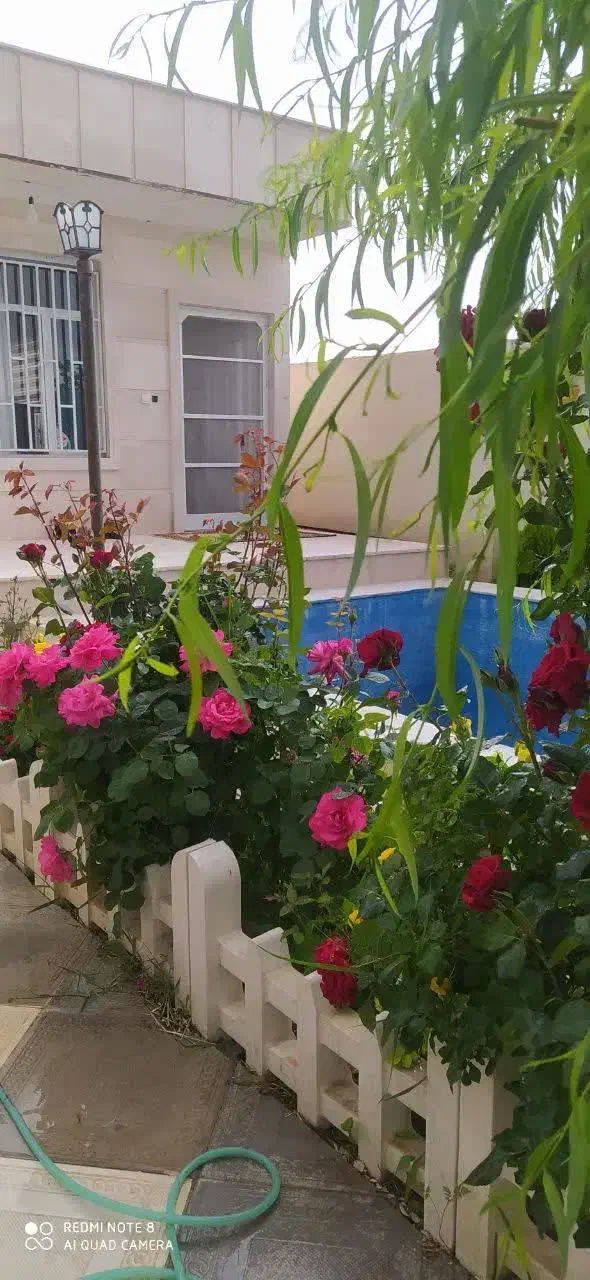 اجاره سالانه ماهانه شبانه کلاردشت|اجارهٔ کوتاه‌مدت ویلا و باغ|مرزن‌آباد, |دیوار