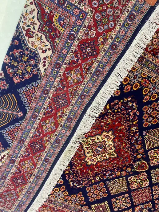 تک ۶متری شهربافت همدان گیاهی گوشتدار|فرش|همدان, |دیوار