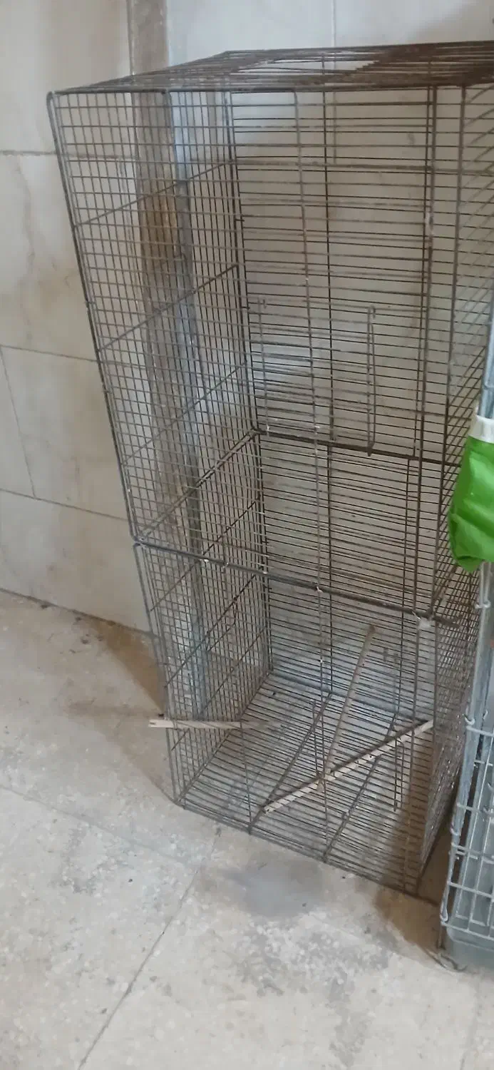 قفس چهار خان ودوتا قفس عروس تکی|لوازم جانبی حیوانات|میبد, |دیوار
