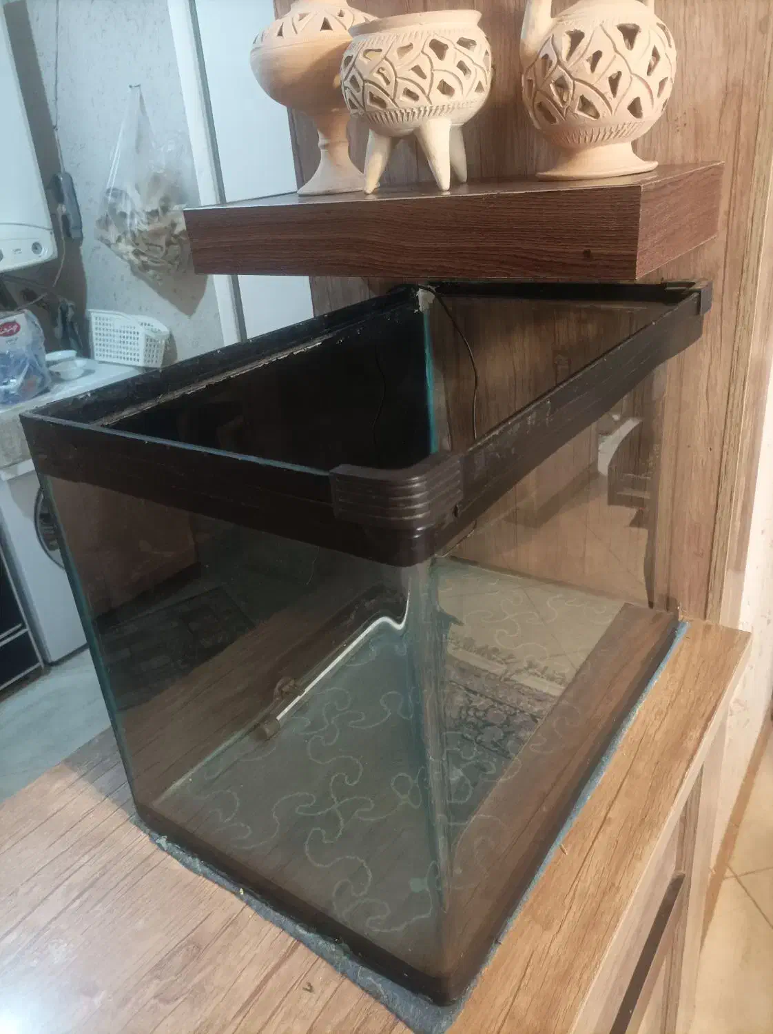 آکواریوم شرکتی|ماهی|مشهد, شاهد (شهرک غرب)|دیوار