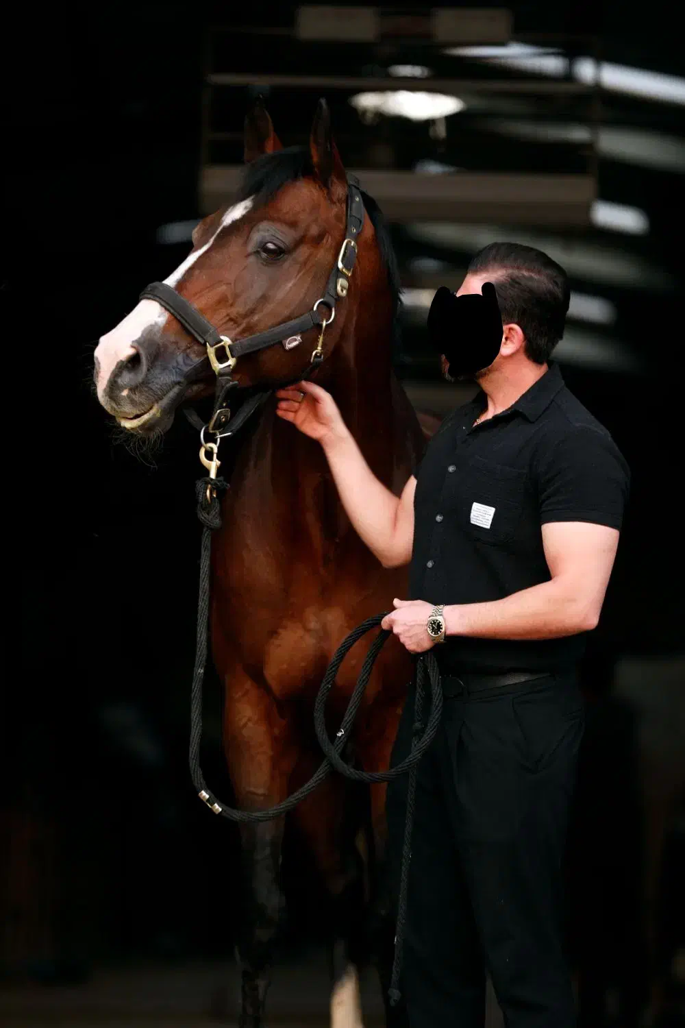 عکاسی|خدمات پذیرایی، مراسم|مشهد, هنرستان|دیوار