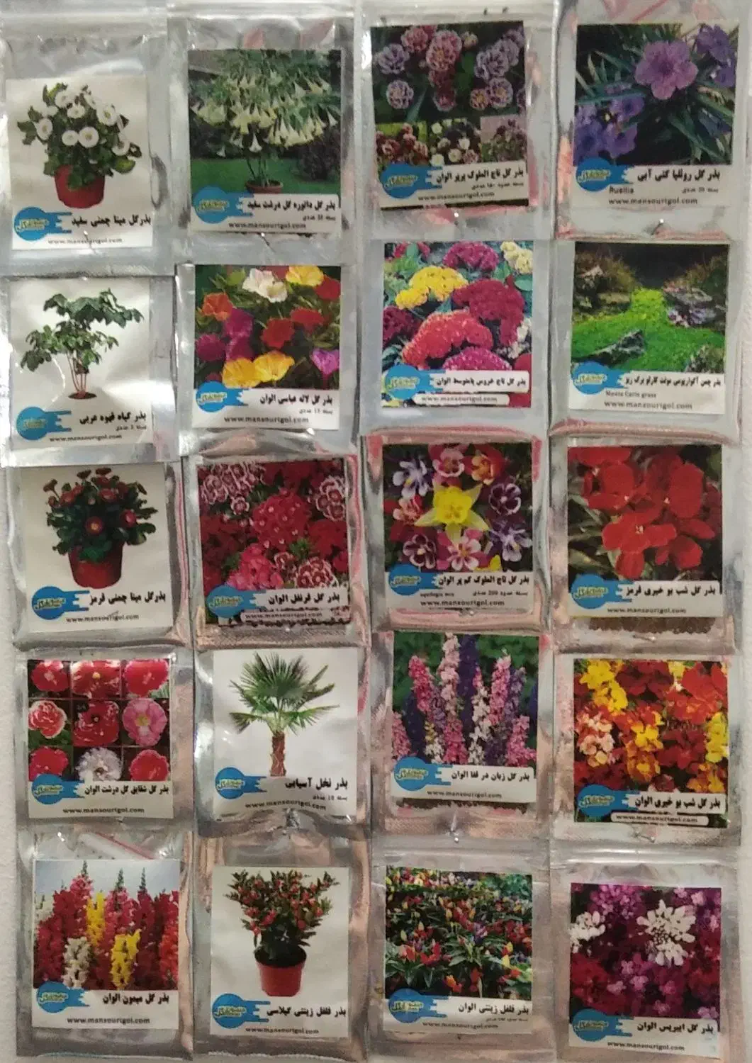 بذر گل|گل و گیاه طبیعی|سمنان, |دیوار