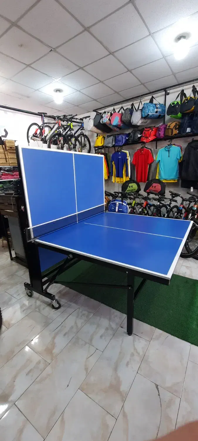 تنیس روی میز ** پینگ پنگ تاشو ** مدارس باغ ویلا|ورزش‌های توپی|نیشابور, عدالت|دیوار