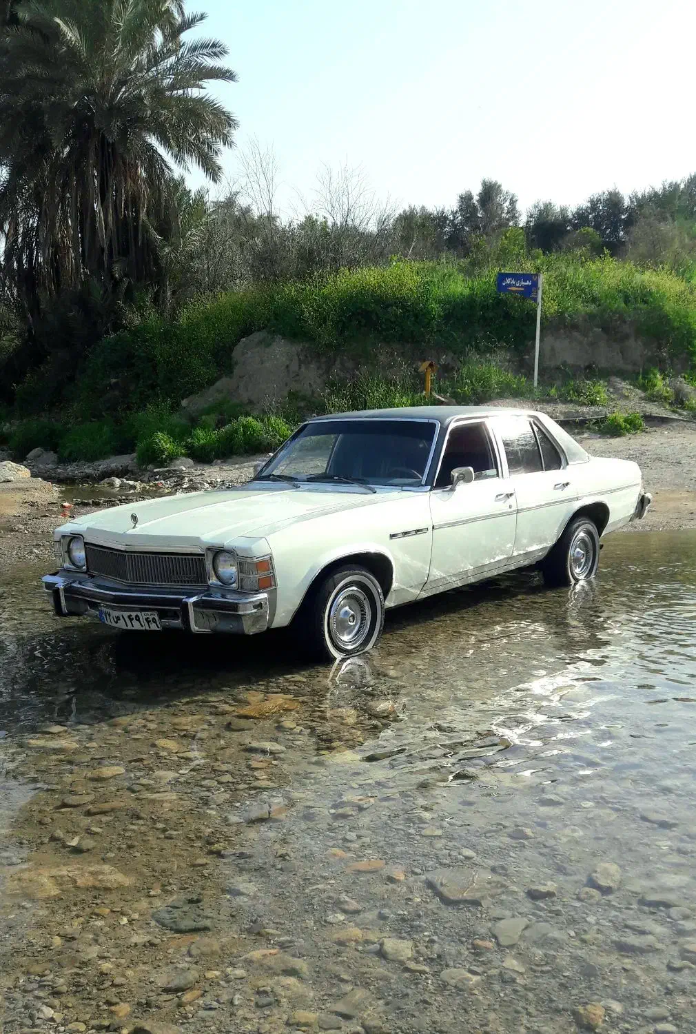 بیوک ایران مدل ۱۳۵۸،معاوضه باپاترول،نیسان پیکاپ|خودرو کلاسیک|شیراز, گویم|دیوار