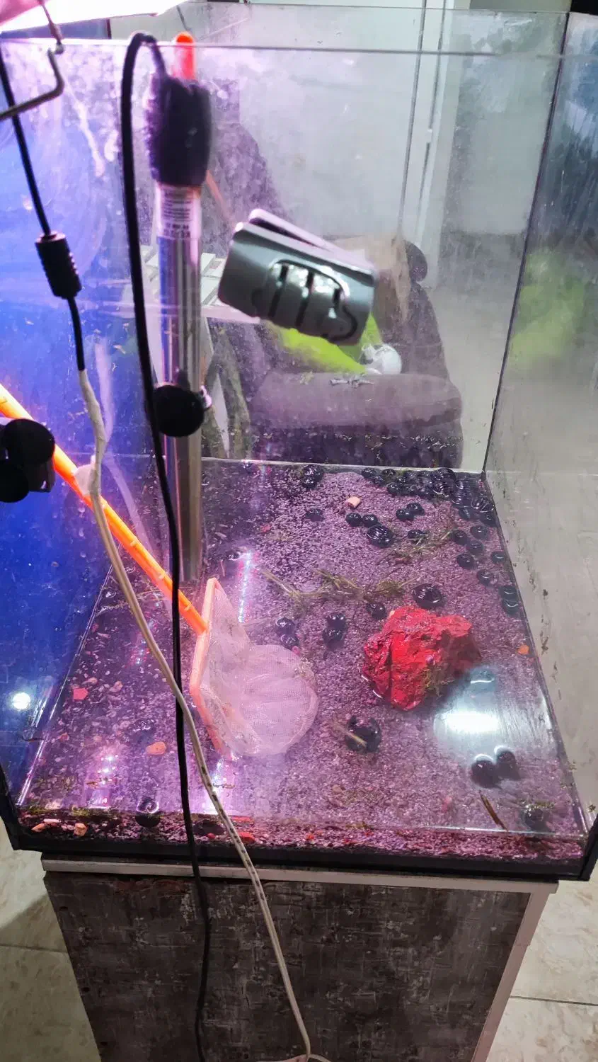 اکواریوم شیشه ریملس|ماهی|اهواز, آریاشهر|دیوار