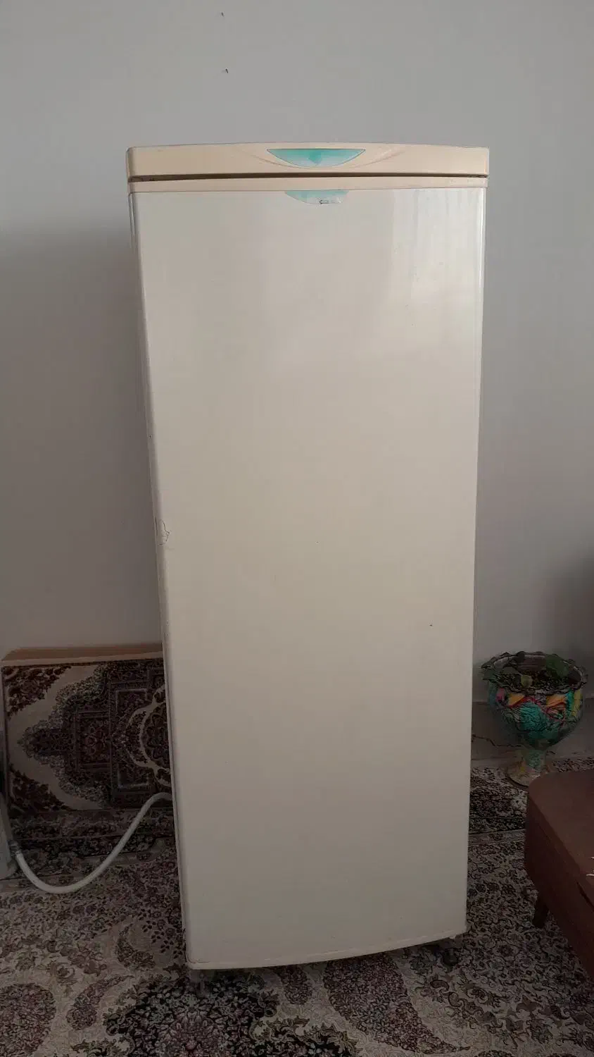 یخچال|یخچال و فریزر|بیرجند, |دیوار