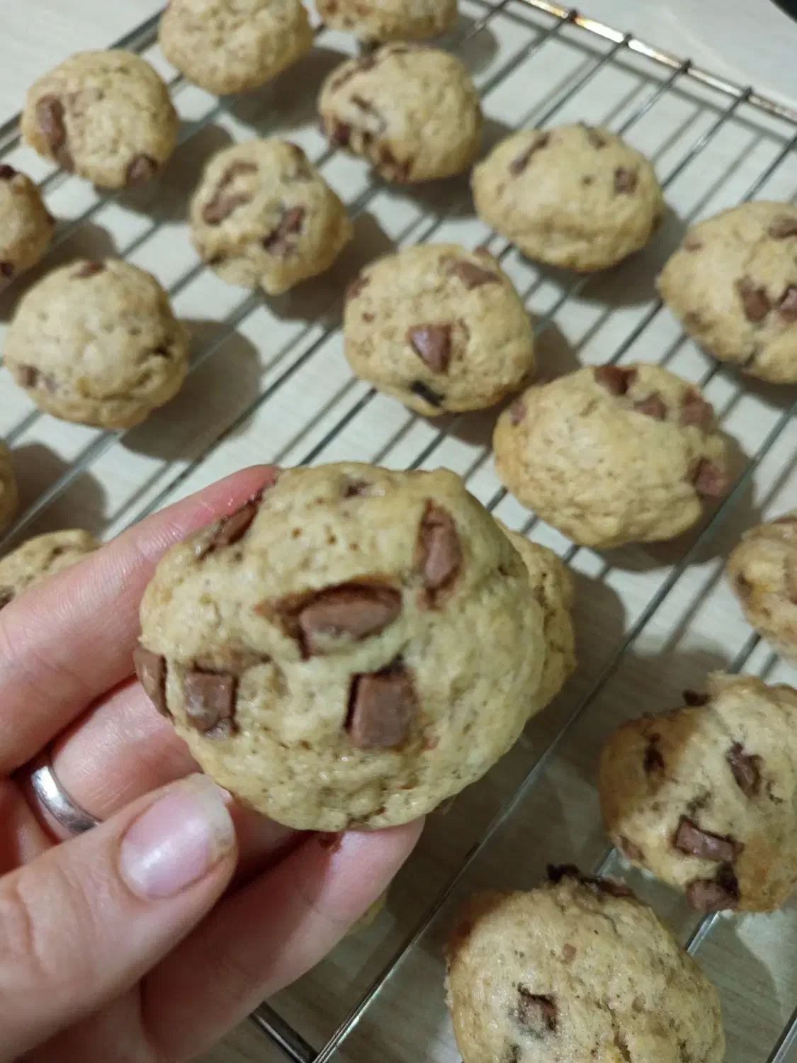 بهترین و باکیفیت ترین کوکی|خدمات پذیرایی، مراسم|اقبالیه, |دیوار