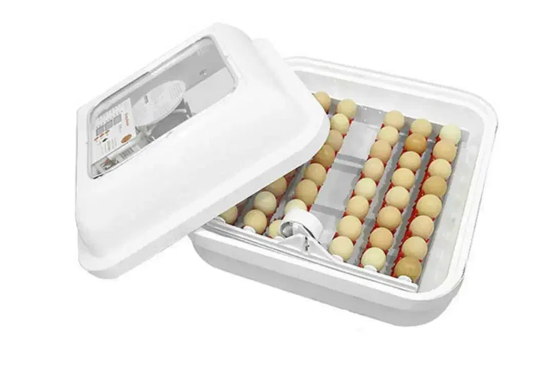 جوجه کشی ایزی باتور  ۱|لوازم جانبی حیوانات|یاسوج, |دیوار