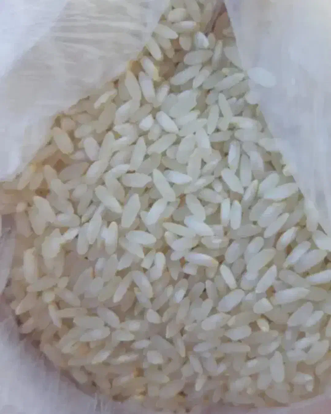 برنج درجه یک محلی چمپا|خوردنی و آشامیدنی|بندرعباس, |دیوار