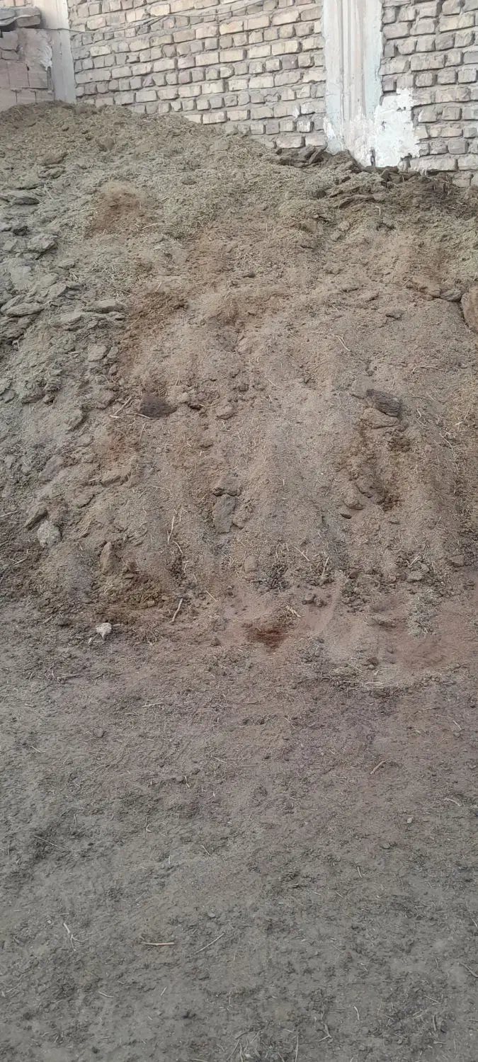 کود گوسفند|لوازم جانبی حیوانات|رفسنجان, |دیوار