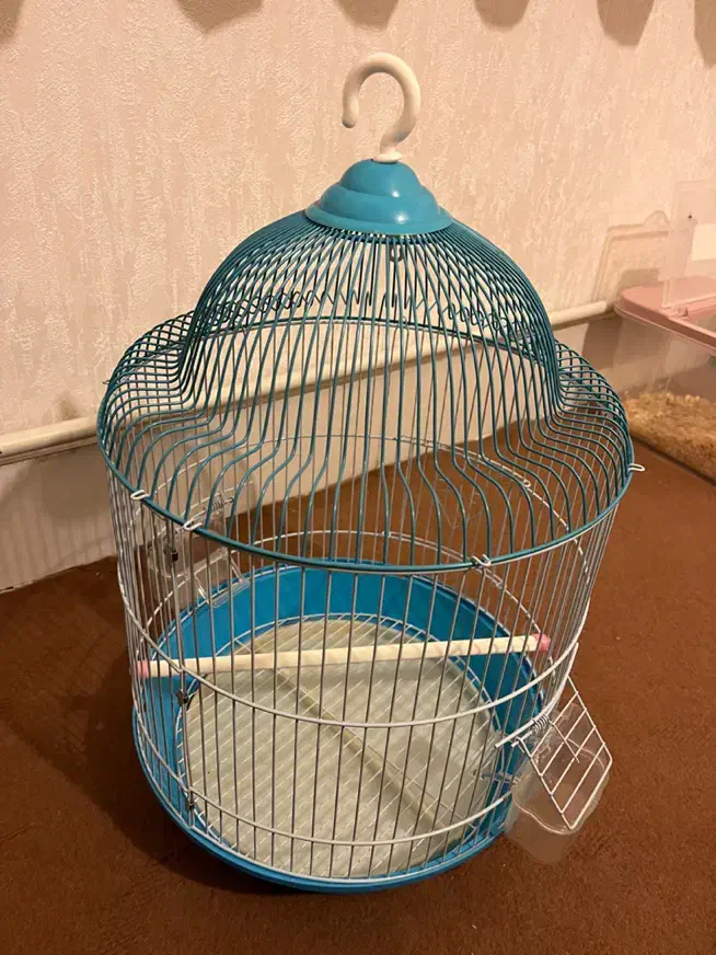 قفس|لوازم جانبی حیوانات|زنجان, |دیوار