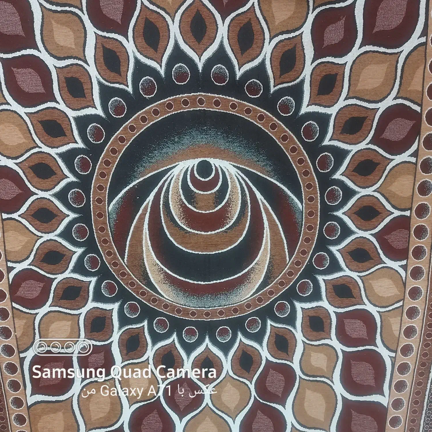 روفرشی|روفرشی|یزد, |دیوار