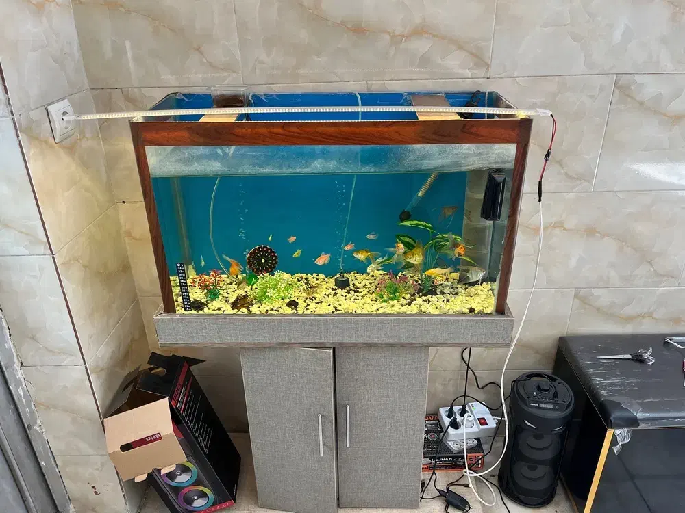 آکواریم با لوازم|ماهی|تبریز, |دیوار