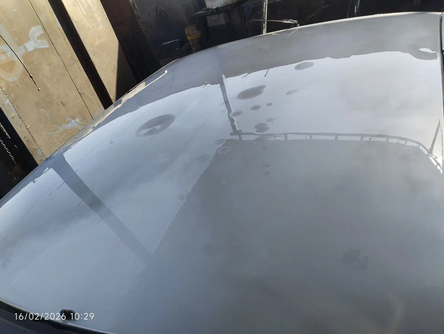 زانتیا|خودرو سواری و وانت|اهواز, زیتون کارمندی|دیوار