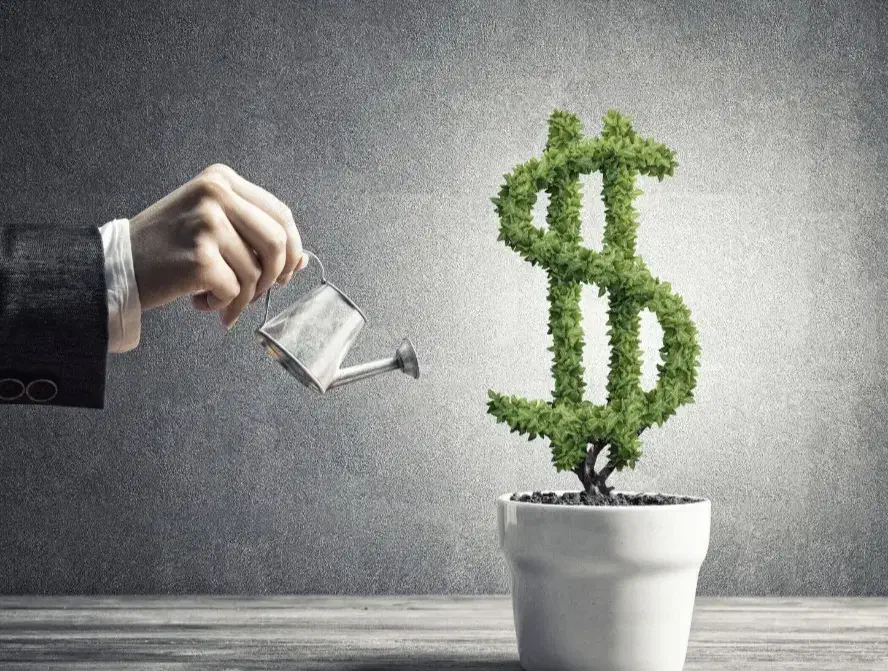 سرمایه صد ملیون|خدمات مالی، حسابداری، بیمه|دوگنبدان, |دیوار