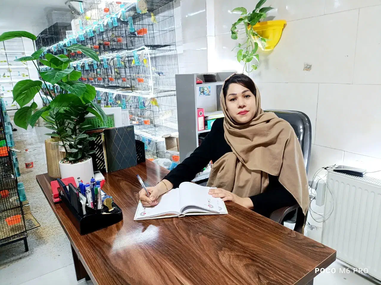 برزیلی، قناری، قفس، گرینچیک|پرنده|رشت, جانبازان|دیوار