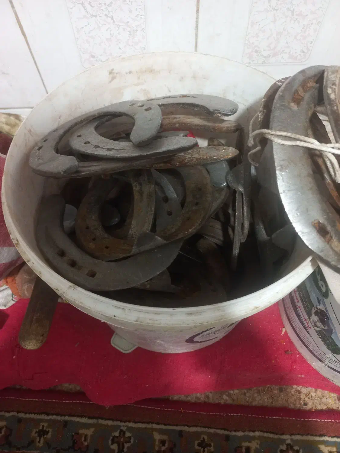 نعل اسب|اسب و تجهیزات اسبسواری|مشهد, بهمن|دیوار