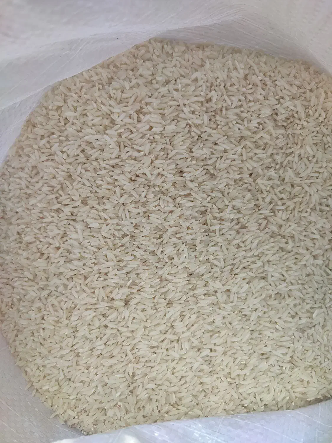 برنج کلات کیلویی ۳۲۰ با ضمانت|خوردنی و آشامیدنی|مشهد, استاد یوسفی (شهرک غرب)|دیوار