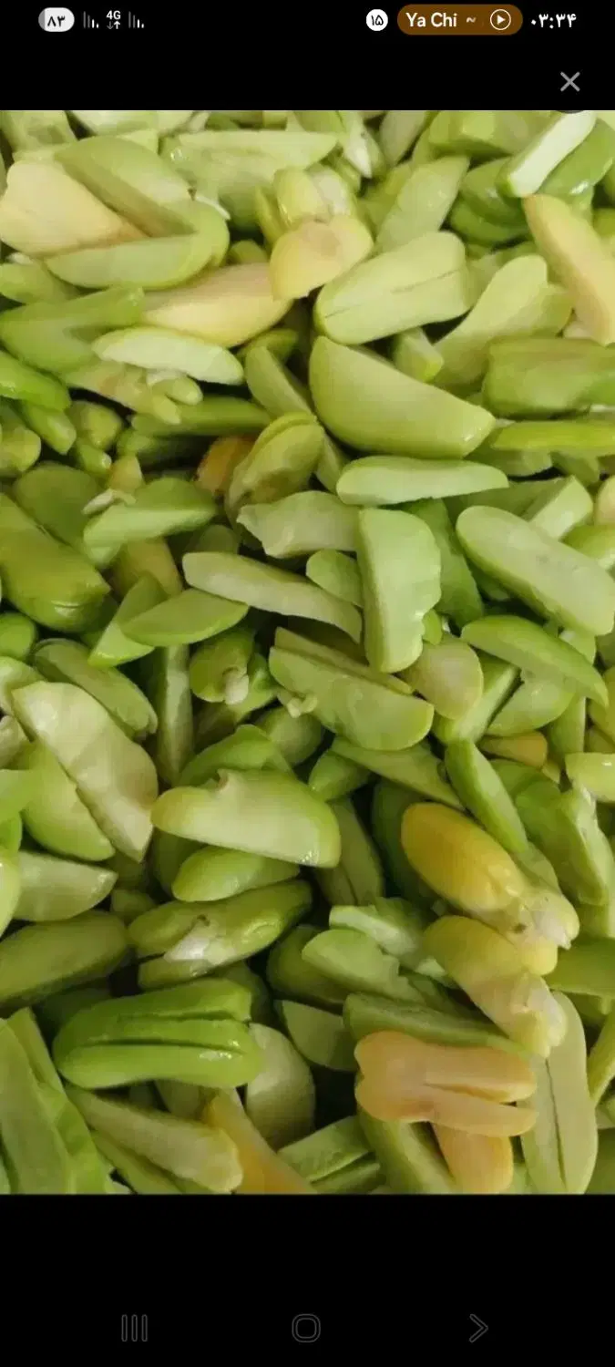 باقالی|خوردنی و آشامیدنی|مشهد, موعود|دیوار