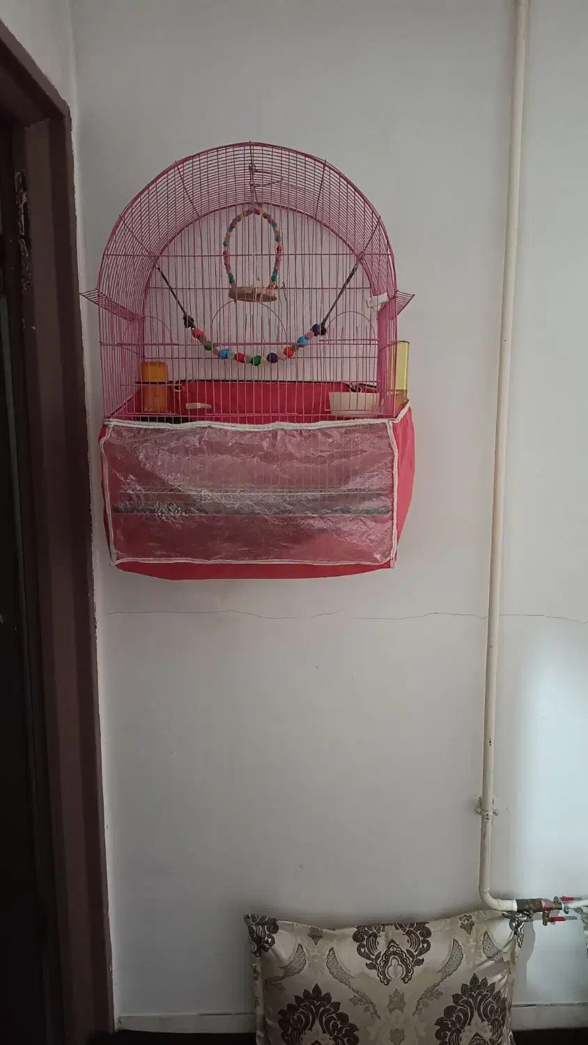 قفس بزرگ بفروش میرسد|لوازم جانبی حیوانات|باسمنج, |دیوار