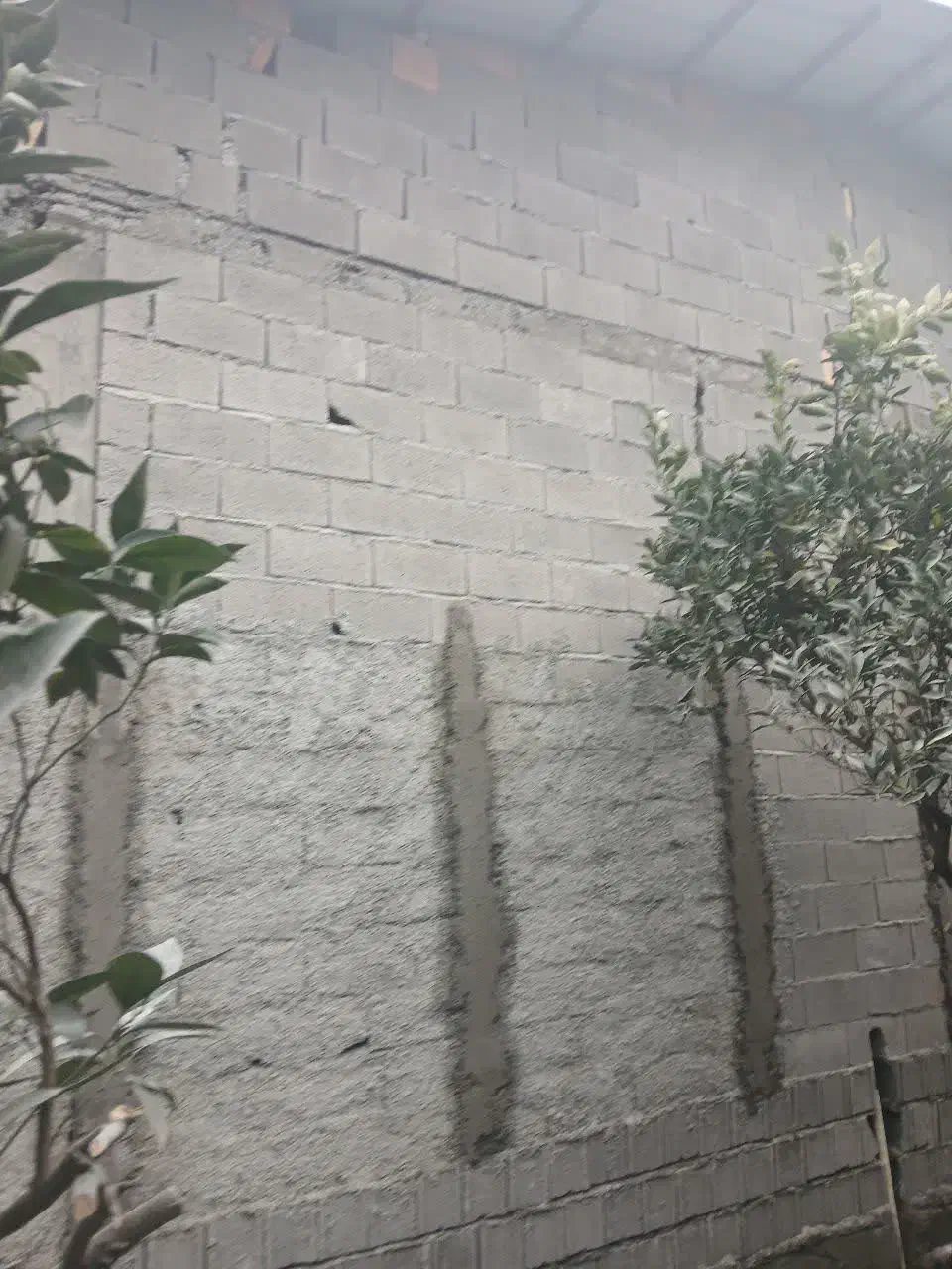 آجر چینی تعمیر سیاه و سفید بنایی کاشی کاری|خدمات پیشه و مهارت|نوشهر, |دیوار