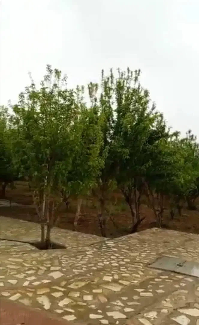 فروش باغ شهری|فروش خانه و ویلا|همایجان, |دیوار