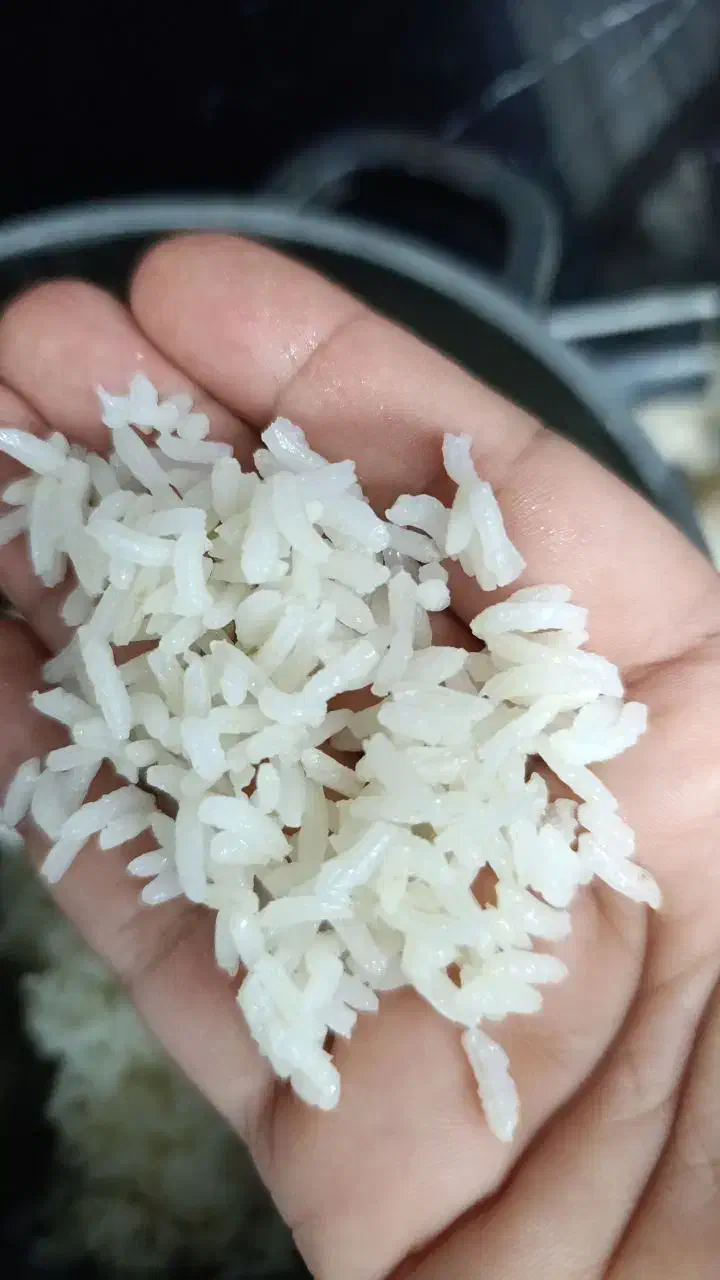 برنج محلی طارم هاشمی بروجرد|خوردنی و آشامیدنی|تهران, مشیریه|دیوار