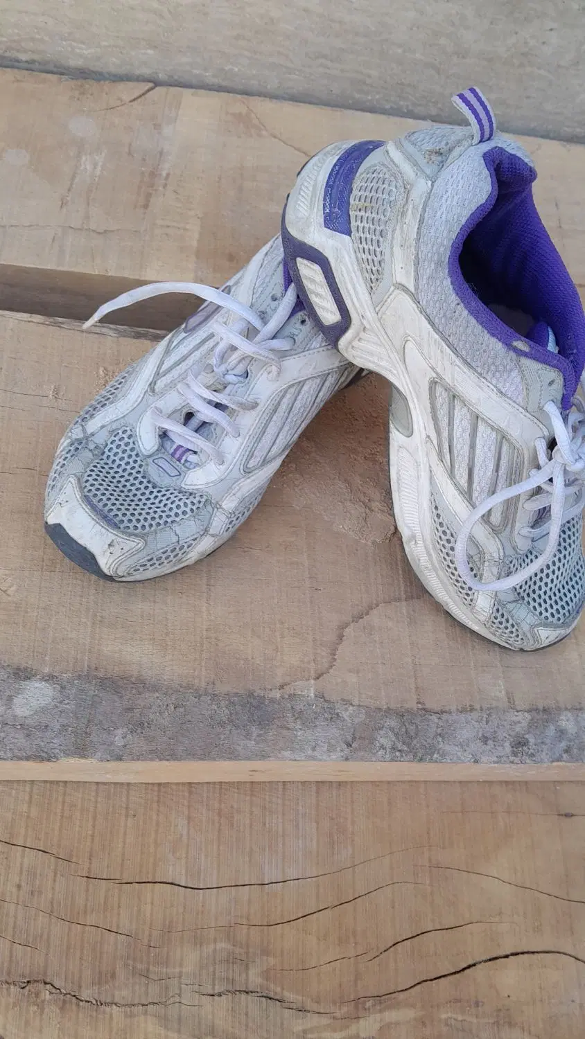 کفش reebok|کیف، کفش، کمربند|بومهن, |دیوار