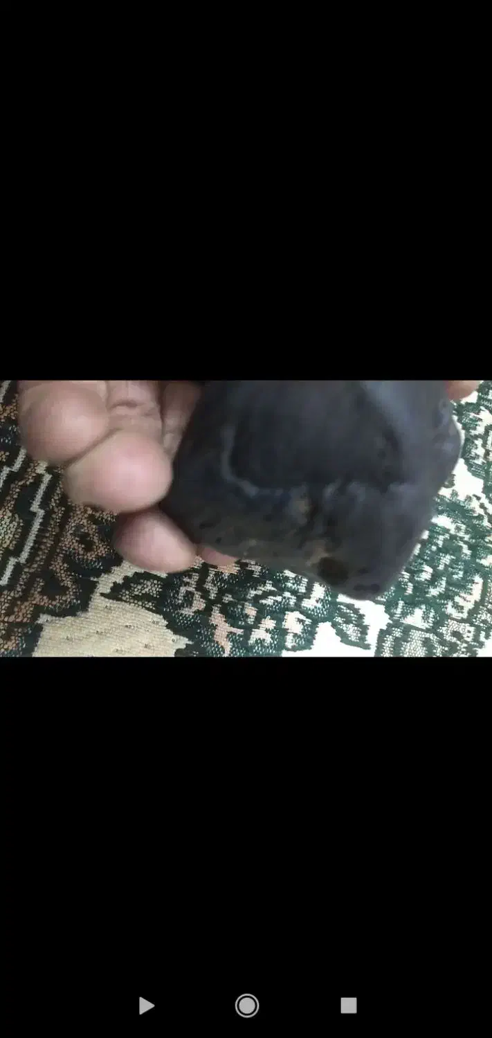 شهاب سنگ|کلکسیون اشیاء عتیقه|جهرم, |دیوار