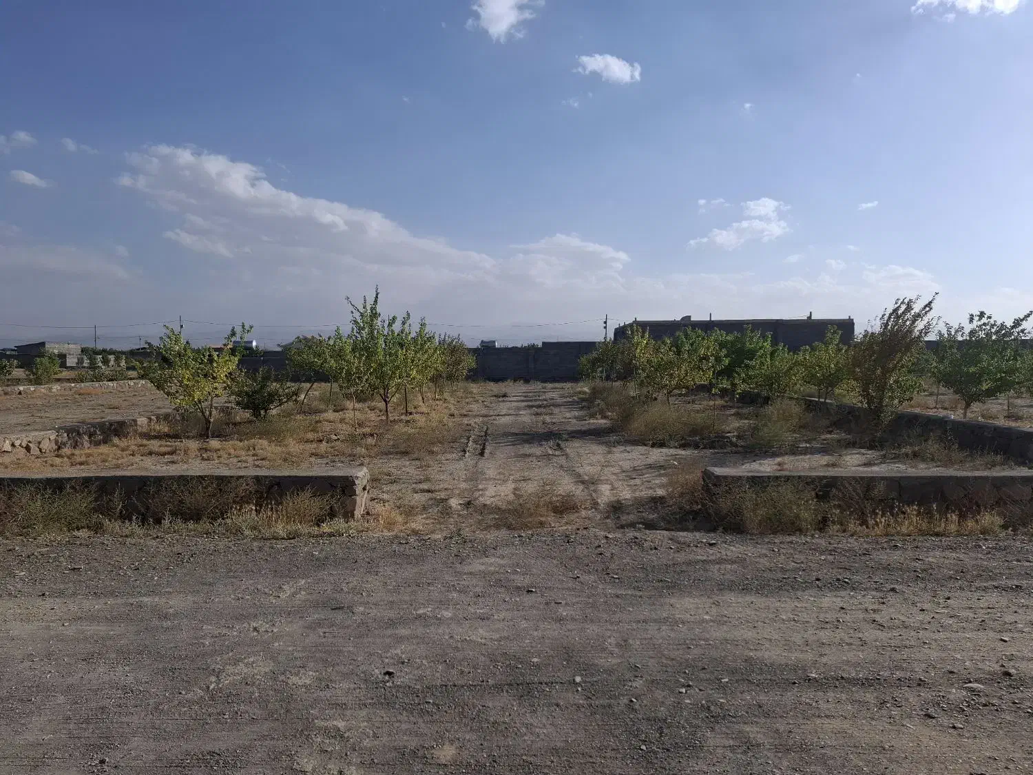 زمین تک برگ سند ازمجتمع شرکت برق|فروش زمین و ملک کلنگی|گلمکان, |دیوار