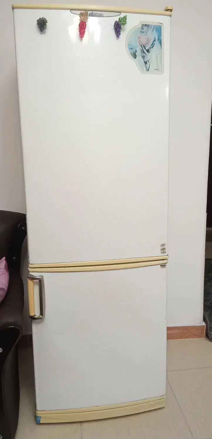 یخچال و فریزر|یخچال و فریزر|رشت, فلسطین|دیوار