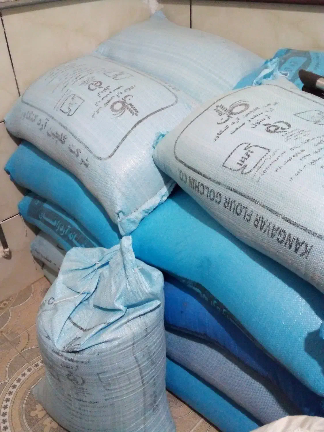 بذر گندم خارجی|گل و گیاه طبیعی|اسدآباد, |دیوار